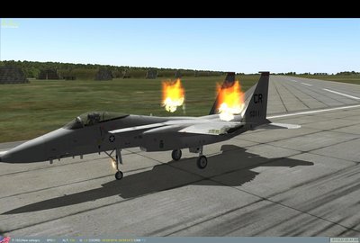F15 a.jpg